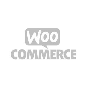 Woo Commerce Developer