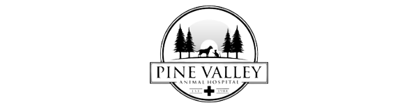 Pine Valley Animal Hospital