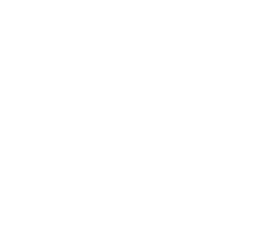 ecommerce icon