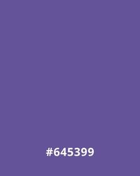 #645399 Solid purple background with hexadecimal code #645399 displayed at the bottom, useful for website design color palettes.