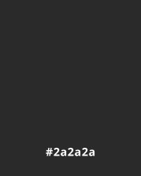 Color #2a2a2a
