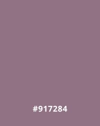 Color #917284
