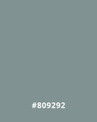 Cyan #809292