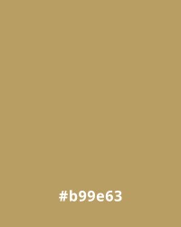 Gold #b99e63