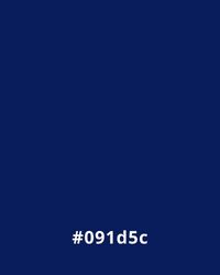 #091d5c