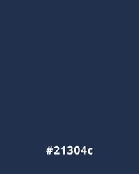 #21304c