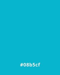 Solid turquoise background with hex code #08b5cf at the bottom, useful for website design color schemes.