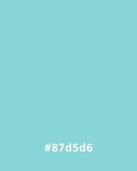 #87d5d6 Solid aqua background with hex code #87d5d6, ideal for calming website design.