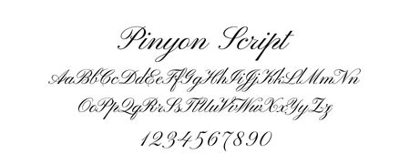 Elegant cursive font, Pinyon Script, displayed in uppercase, lowercase, and numbers, ideal for sophisticated website design.