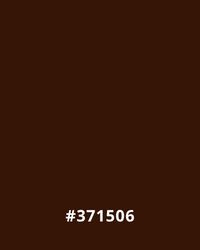 Dark brown color sample with hex code #371506. Ideal for earthy website design themes.