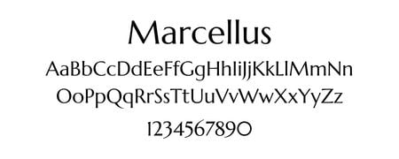 Marcellus Marcellus font displaying uppercase, lowercase letters, and numbers 0-9. Elegant serif typeface, ideal for website design.