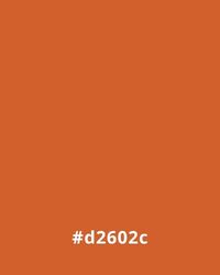 #d2602c Solid orange background with hex code #d2602c at the bottom, useful for website design color schemes.