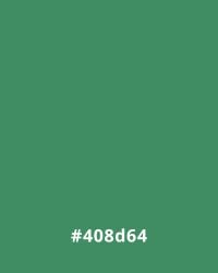 Solid green (#408d64) background, ideal for modern website design, with its hex color code centered at the bottom.