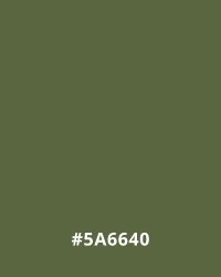 #5A6640 Olive green background with hex code #5A6640, ideal for earthy website design aesthetics.