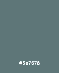 #5e7678 Solid background color in muted teal, hex code #5e7678, ideal for minimalist website design aesthetics.