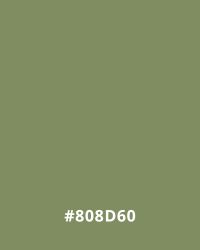 #808D60 Muted olive green background with hex code #808D60, ideal for use in website design for a natural, earthy look.