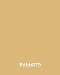 Warm beige hex color #dbb879, ideal for cohesive website design.
