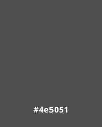 #4e5051 Gray background with hex code #4e5051, suitable for minimalist website design.