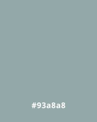 #93a8a8 Muted greyish blue color swatch, hex code #93A8A8, ideal for minimalist website design backgrounds.