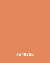 Solid orange background with hex code #e4885b, useful for website design.