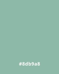 #8db9a8 Mint green color swatch with hex code #8db9a8, suitable for website design backgrounds or accents.