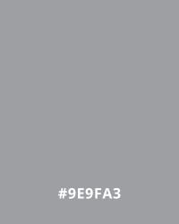 Solid grey background with the hex color code #9E9FA3 in white text, useful for website design color palettes.