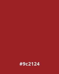 #9c2124 Solid dark red background with hex code #9c2124, ideal for website design.