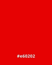 #e60202 Solid bright red background with white text displaying the hex code #e60202, useful for website design color schemes.